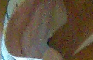 XXX 大人の犬と彼のビジネスの愛人 女性 向け 無料 えろ
